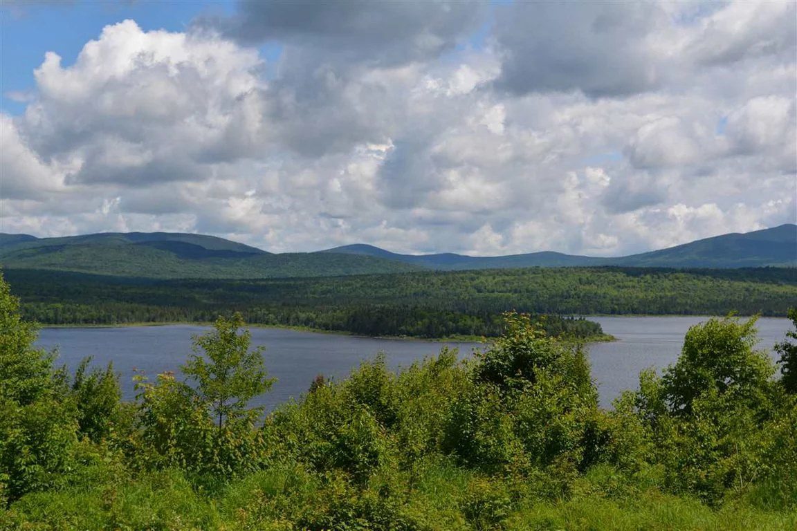 Summer Ray Davis Real Estate